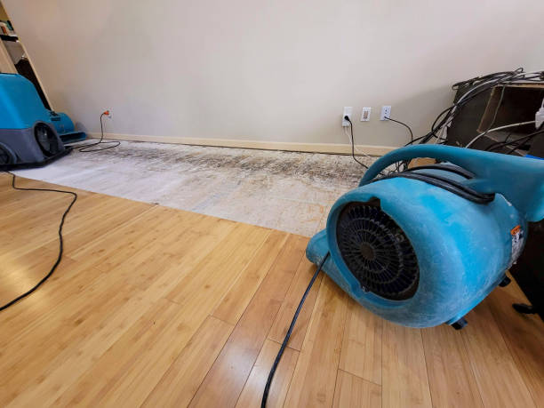 Professional Water Damage Repair technician working in Kansas, KS
